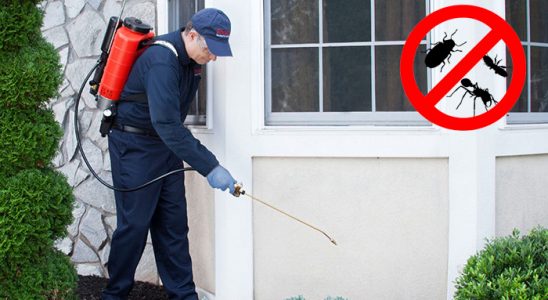 Bahçelievler Karınca İlaçlama böcek ilaçlama ve haşere kontrolü — ilaclama-tr.com